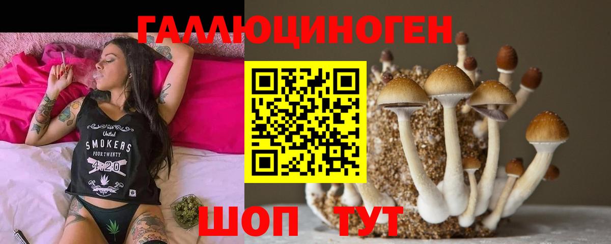 Псилоцибиновые грибы MAGIC MUSHROOMS  Вход с VPN  Городец 